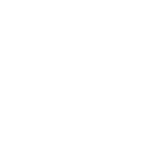 steirische harmonika